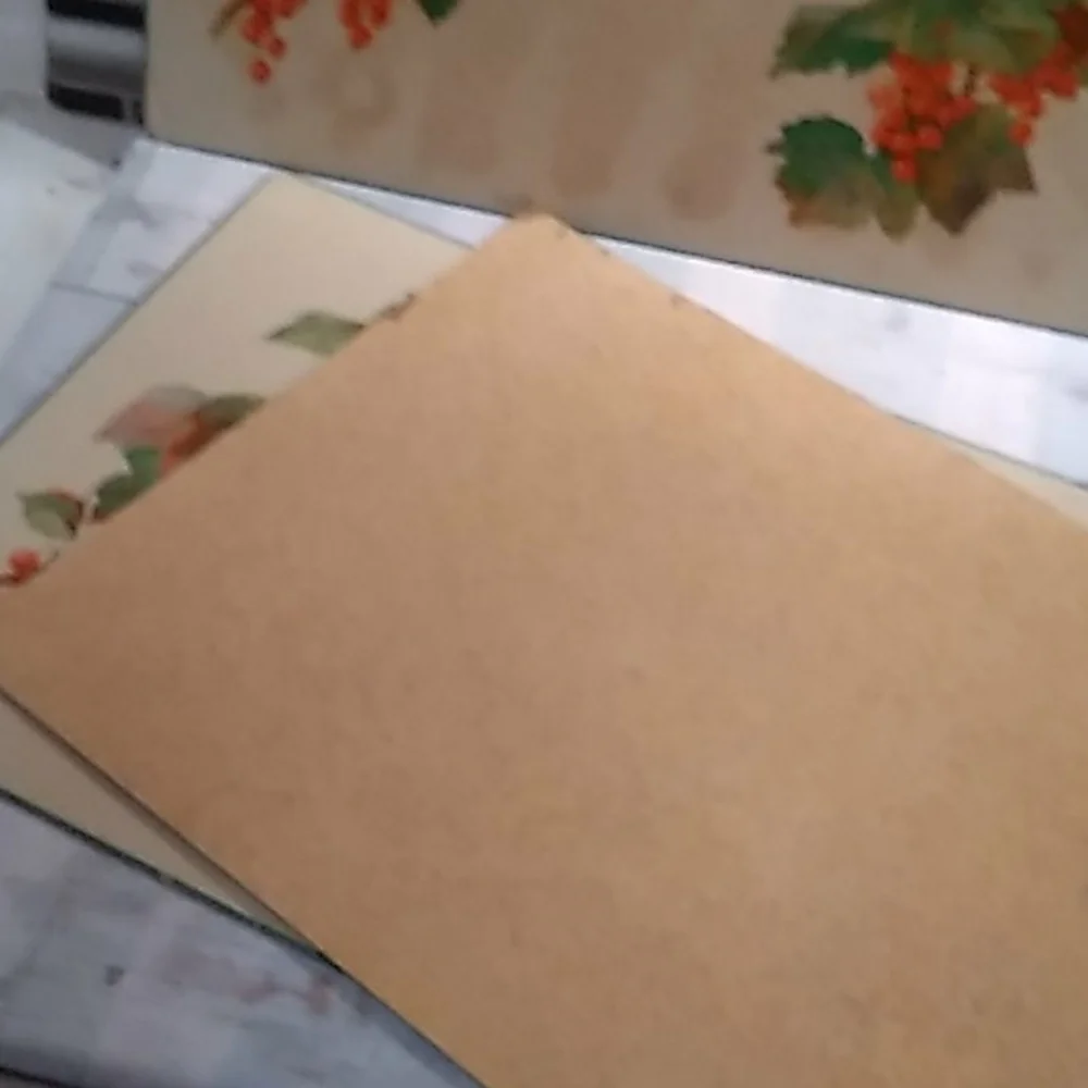 3 vintage cork backed placemats red berries